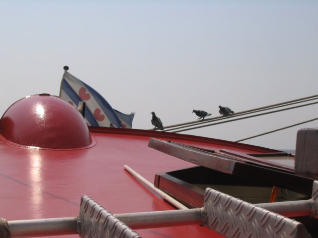 2004Zeilkamp 200.jpg